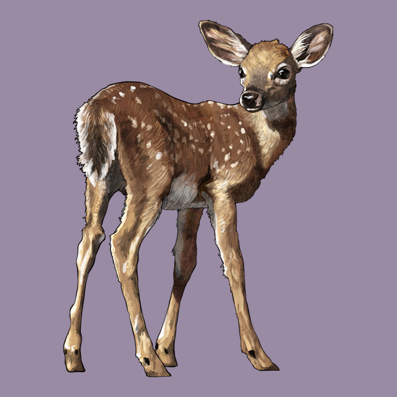 White Tailed Fawn Deer Classic Tee by LillyAllenDesigns | Teevron