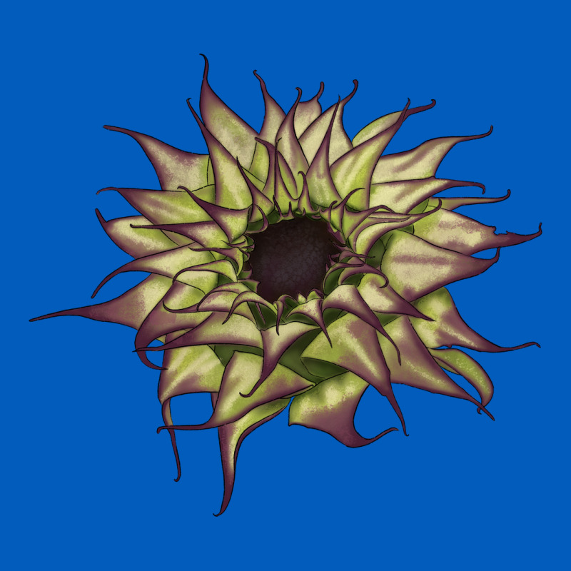 Sun   Fill Purple Sunflower Urban Hoodie by LillyAllenDesigns | Teevron