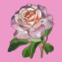 Belinda's Blush Rose Urban Hoodie | Teevron