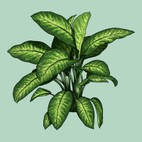 Dumb Cane Classic Tee | Teevron