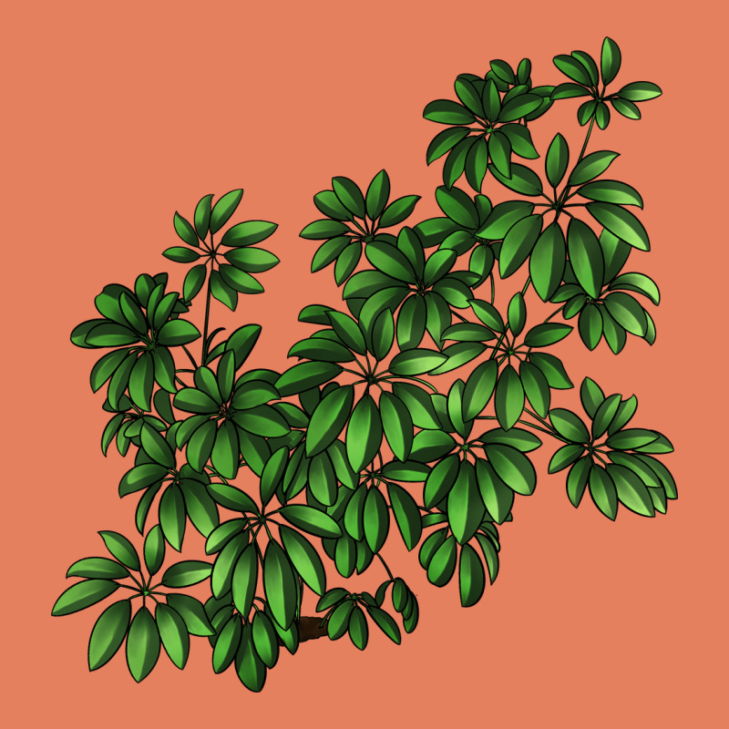 Botanical Schefflera Illustrations Classic Tee by LillyAllenDesigns | Teevron