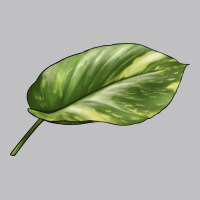 Golden Pothos Leaf Classic Tee | Teevron