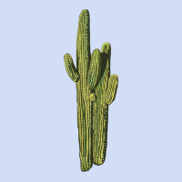 Saguaro Cactus Urban Hoodie | Teevron