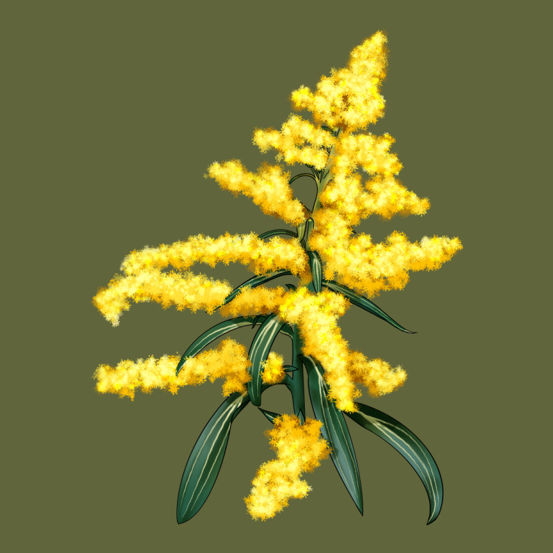 Botanical Goldenrod Illustrations Classic Tee by LillyAllenDesigns | Teevron