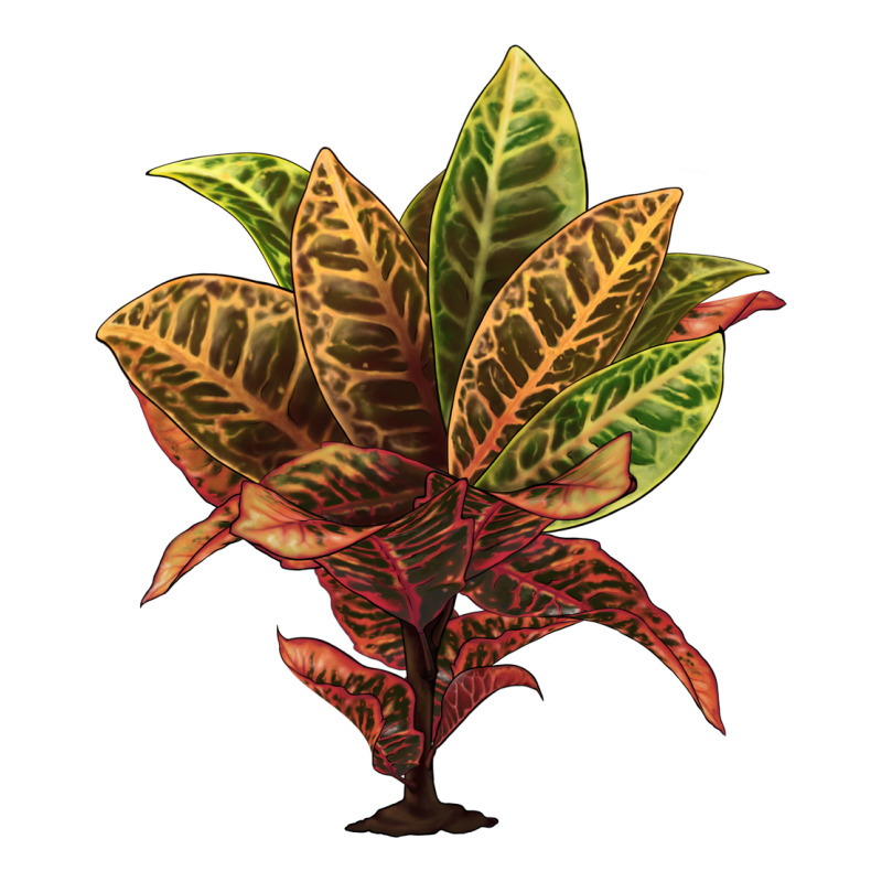 Croton Classic Tee by LillyAllenDesigns | Teevron