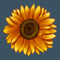 Soraya Sunflower Urban Hoodie | Teevron