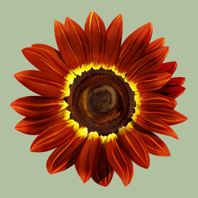 Rouge Royale Sunflower Urban Hoodie by LillyAllenDesigns | Teevron