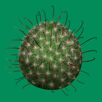 Arizona Fishhook Cactus Urban Hoodie | Teevron