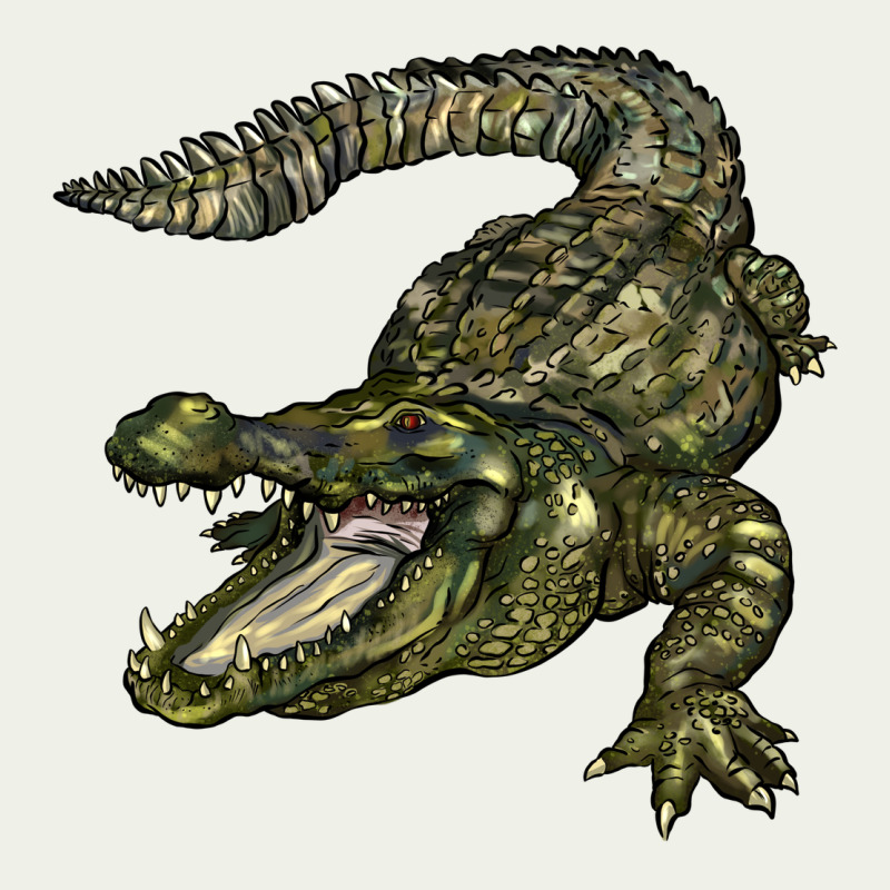Alligator Urban Heavy Tee by BarkalooDesign | Teevron