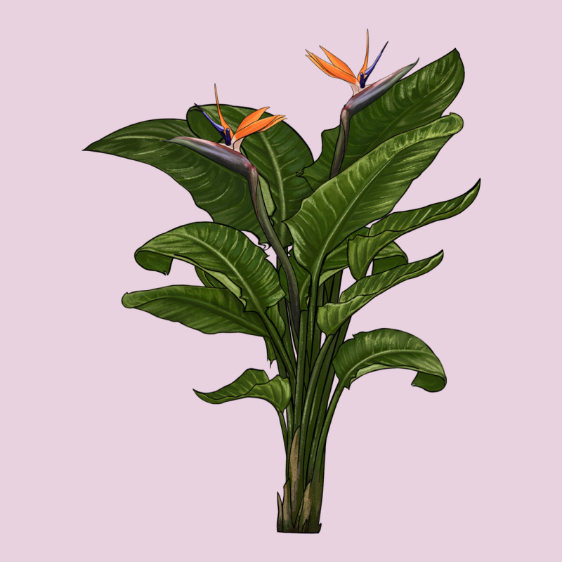 The Bird Of Paradise Classic Tee by LillyAllenDesigns | Teevron