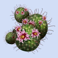 Arizona Fishhook Cacti Urban Hoodie | Teevron