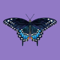 Black Swallowtail Butterfly Urban Hoodie | Teevron