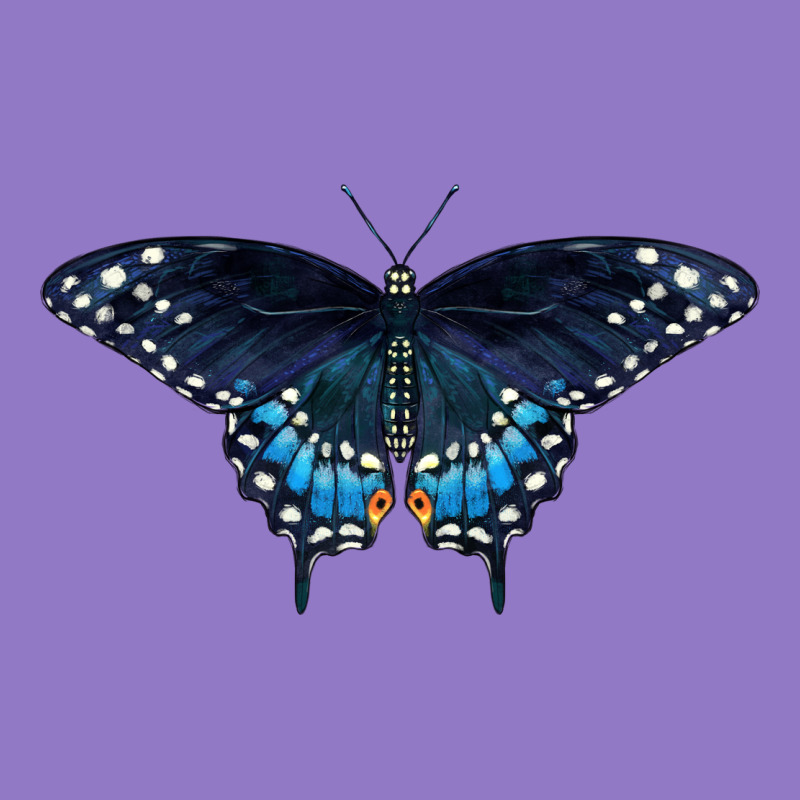 Black Swallowtail Butterfly Urban Hoodie by LillyAllenDesigns | Teevron