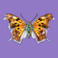 Question Mark Butterfly Urban Hoodie | Teevron