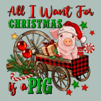 All I Want For Christmas Is A Pig Heavyweight Hoodie | Teevron
