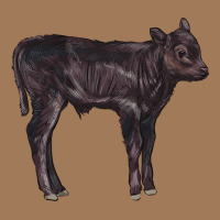 Black Angus Calf Illustrations Classic Tee | Teevron