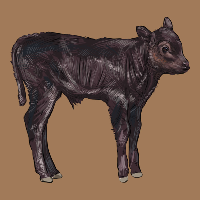 Black Angus Calf Illustrations Classic Tee by LillyAllenDesigns | Teevron