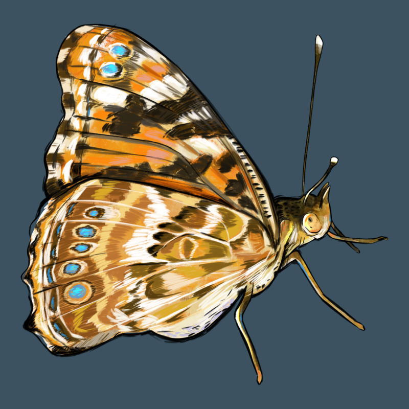 Painted Lady Butterfly Urban Hoodie by LillyAllenDesigns | Teevron