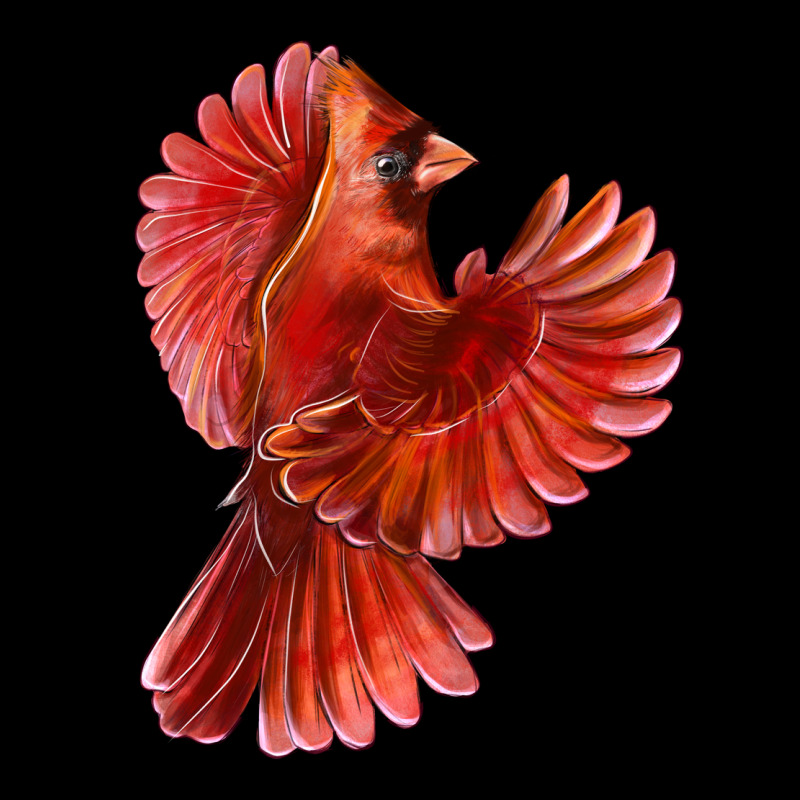 Flying Northern Cardinal Bird Urban Hoodie by LillyAllenDesigns | Teevron