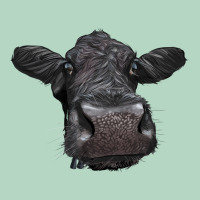 Black Angus Heifer Classic Tee | Teevron