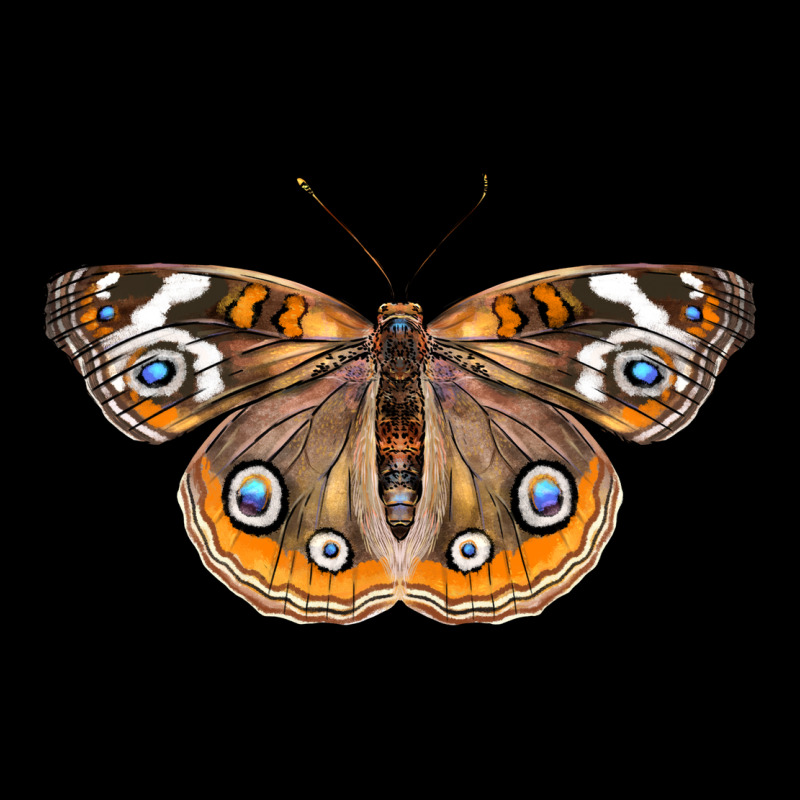 Common Buckeye Butterfly Urban Hoodie by LillyAllenDesigns | Teevron