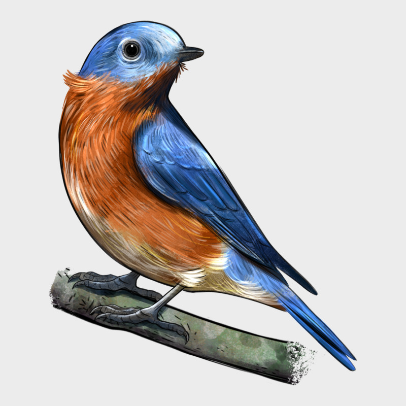 Eastern Bluebird Urban Hoodie by LillyAllenDesigns | Teevron