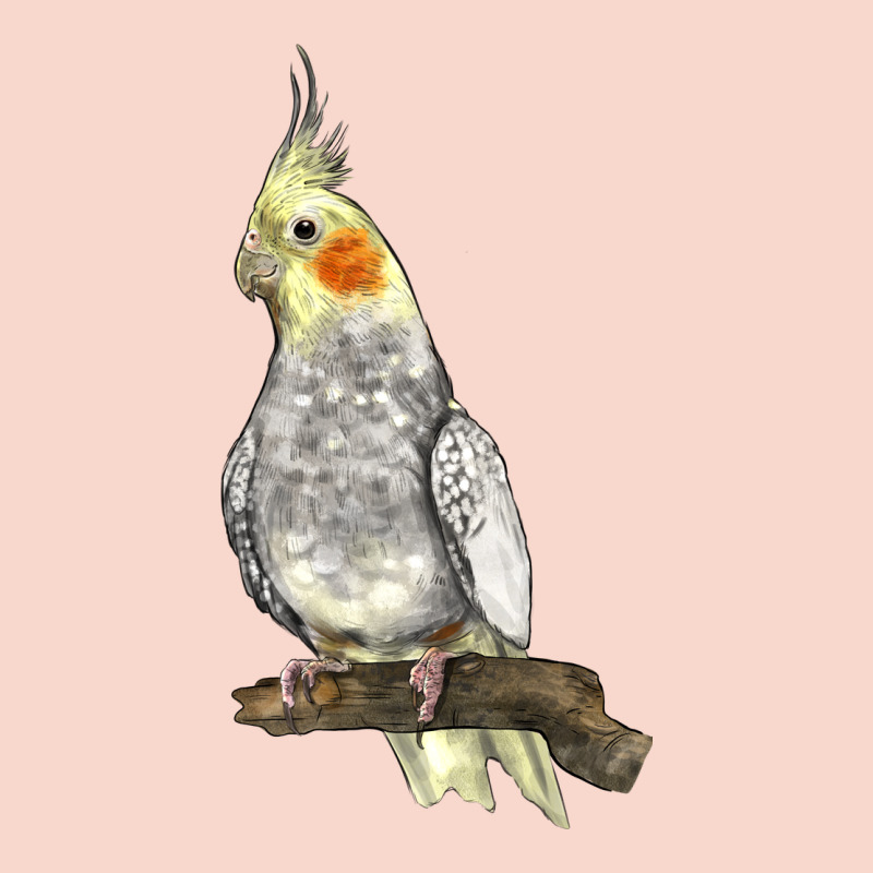 Cocktail Parrot Urban Hoodie by LillyAllenDesigns | Teevron