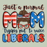 Just A Normal Mom Trying Not To Raise Liberals Ladies Tee | Teevron