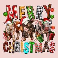 Merry Christmas Pigs Premium Sweatshirt | Teevron