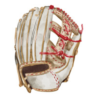 Catchers Mitt Fa Element | Teevron