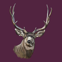 Mule Buck Deer Head Urban Hoodie | Teevron