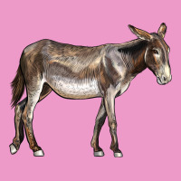 American Mammoth Jackstock Donkey Urban Hoodie | Teevron