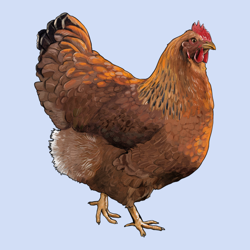 New Hampshire Red Chicken Urban Hoodie by LillyAllenDesigns | Teevron