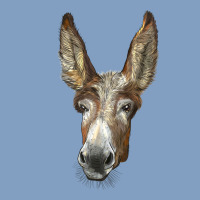 American Mammoth Jackstock Donkey  Face Urban Hoodie | Teevron