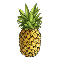 pineapple | Teevron
