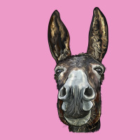 Donkey  Face Urban Hoodie | Teevron