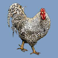 Dominique Rooster Urban Hoodie | Teevron