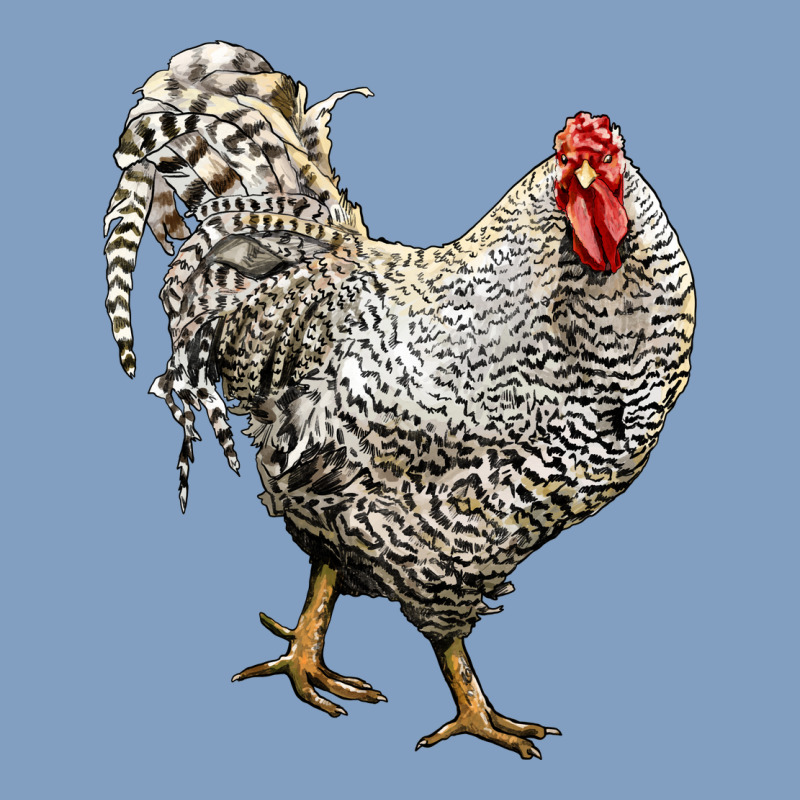 Dominique Rooster Urban Hoodie by LillyAllenDesigns | Teevron