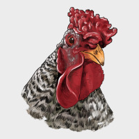 Dominique Rooster Head Urban Hoodie | Teevron