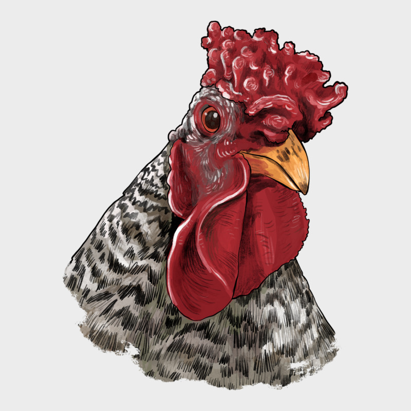 Dominique Rooster Head Urban Hoodie by LillyAllenDesigns | Teevron
