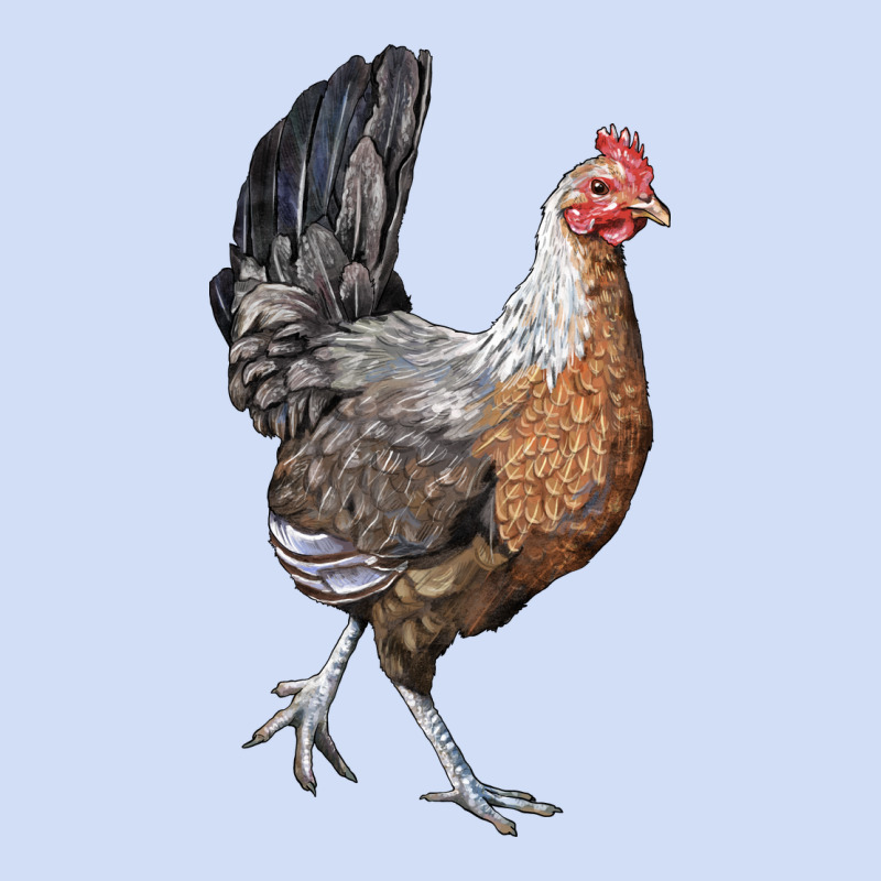 American Game Chicken Urban Hoodie by LillyAllenDesigns | Teevron