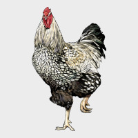 Wyandotte Rooster Urban Hoodie | Teevron