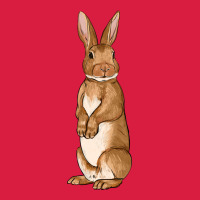 Bunny Easter Premium Hoodie | Teevron