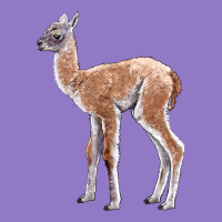 Guanaco Llama Baby Urban Hoodie | Teevron