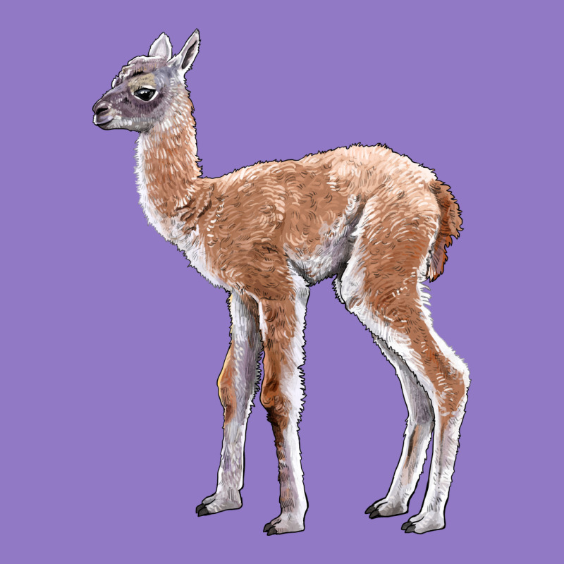 Guanaco Llama Baby Urban Hoodie by LillyAllenDesigns | Teevron