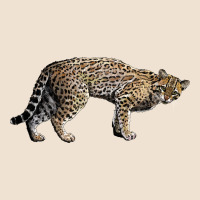 Ocelot Urban Hoodie | Teevron