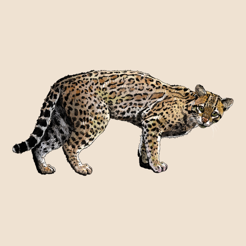 Ocelot Urban Hoodie by LillyAllenDesigns | Teevron
