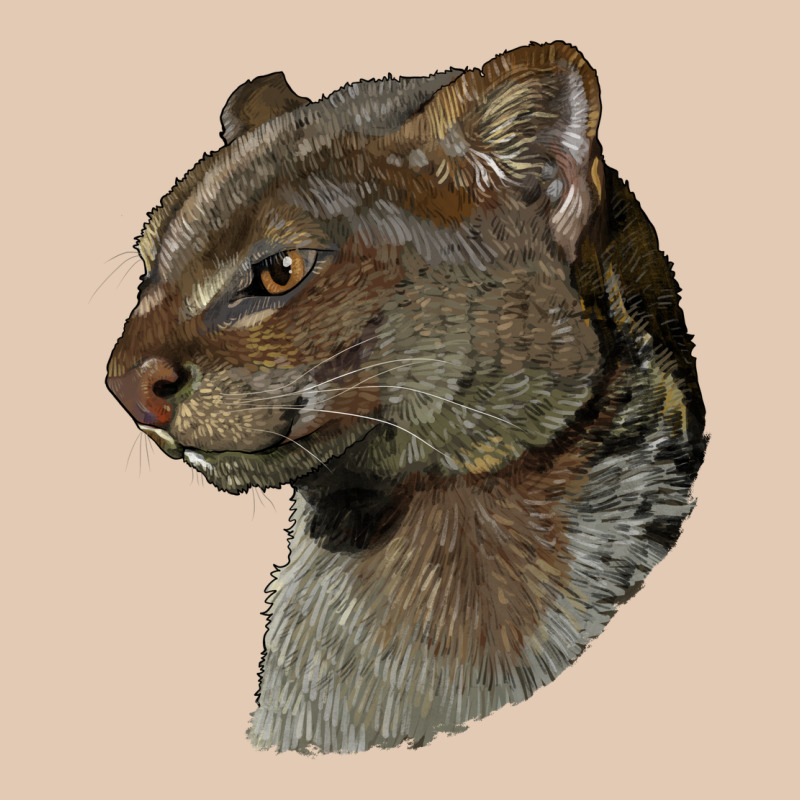 Jaguarundi Head Urban Hoodie by LillyAllenDesigns | Teevron