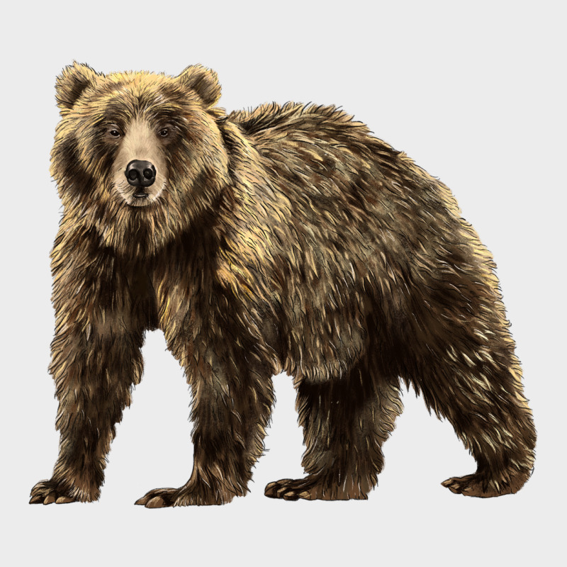 Brown Bear Urban Hoodie by LillyAllenDesigns | Teevron