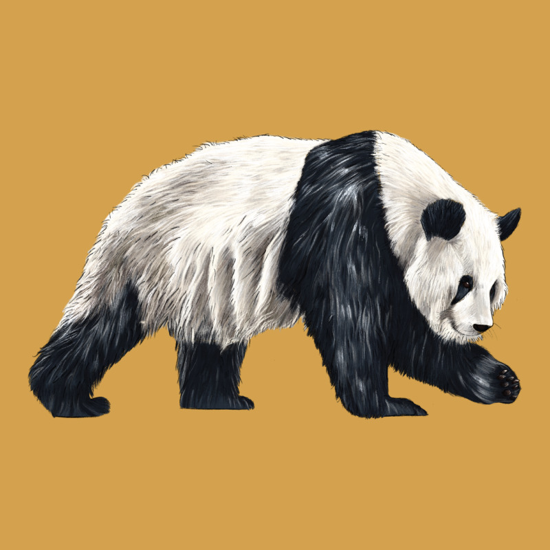 Walking Panda Urban Hoodie by LillyAllenDesigns | Teevron